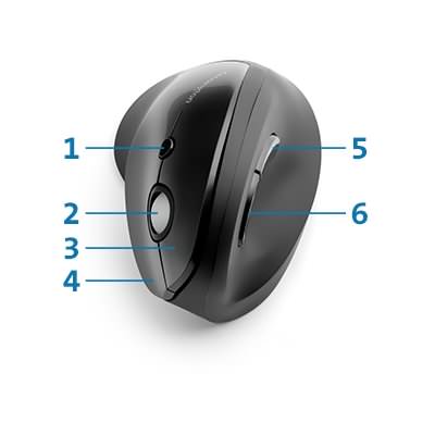 product info