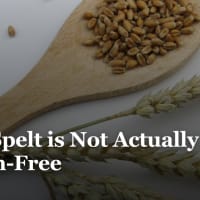 Is Spelt Gluten Free?