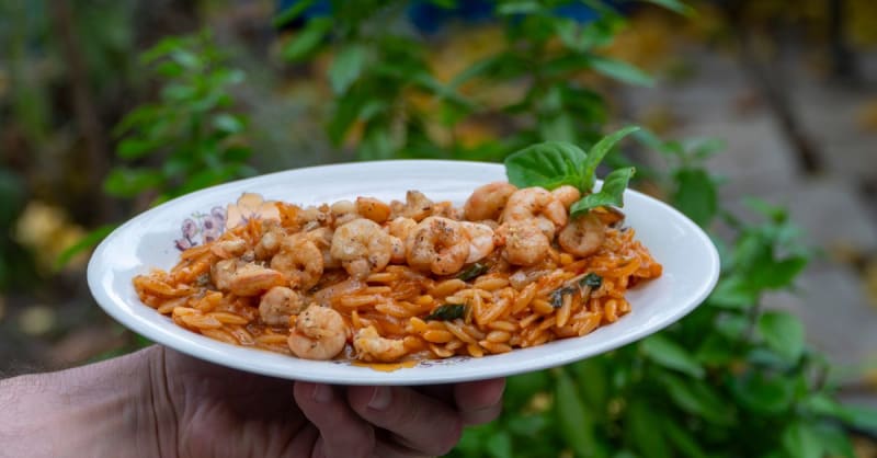 orzo — photo 1
