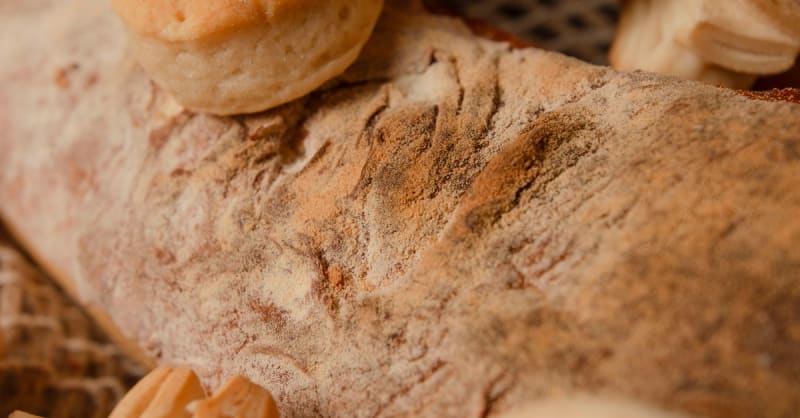 yeast — photo 2