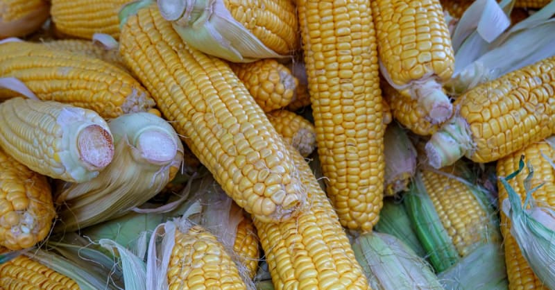 cornbread — photo 1