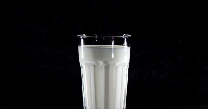 milk — photo 1