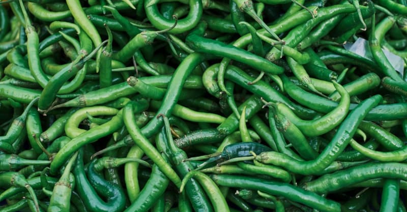 chili - photo 1