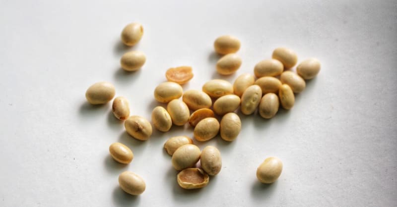 soy lecithin - photo 1