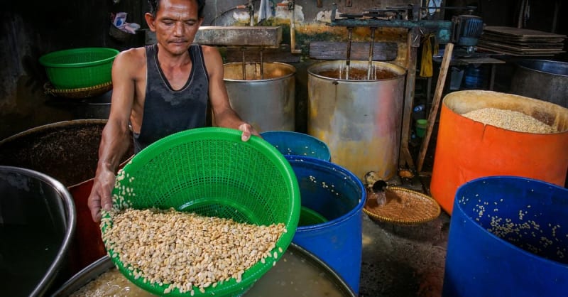 soybean oil - photo 2