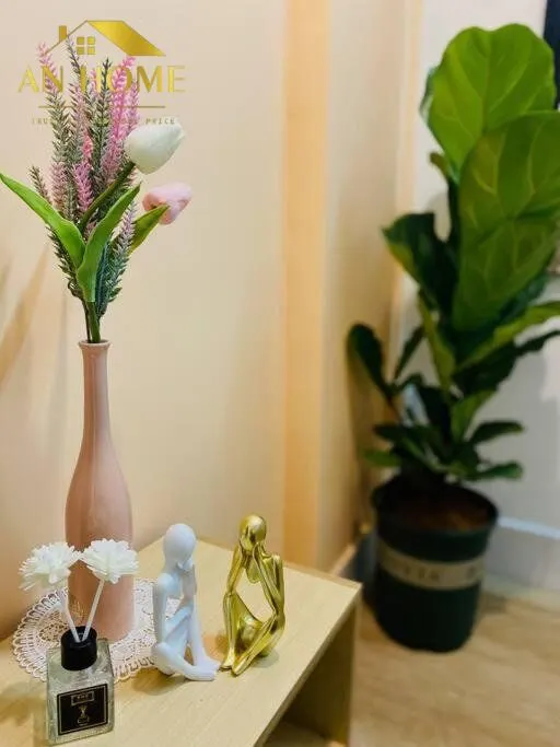 https://thegioicanhodichvu.com - Hình ảnh