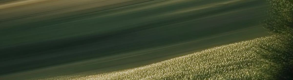 Full width banner
