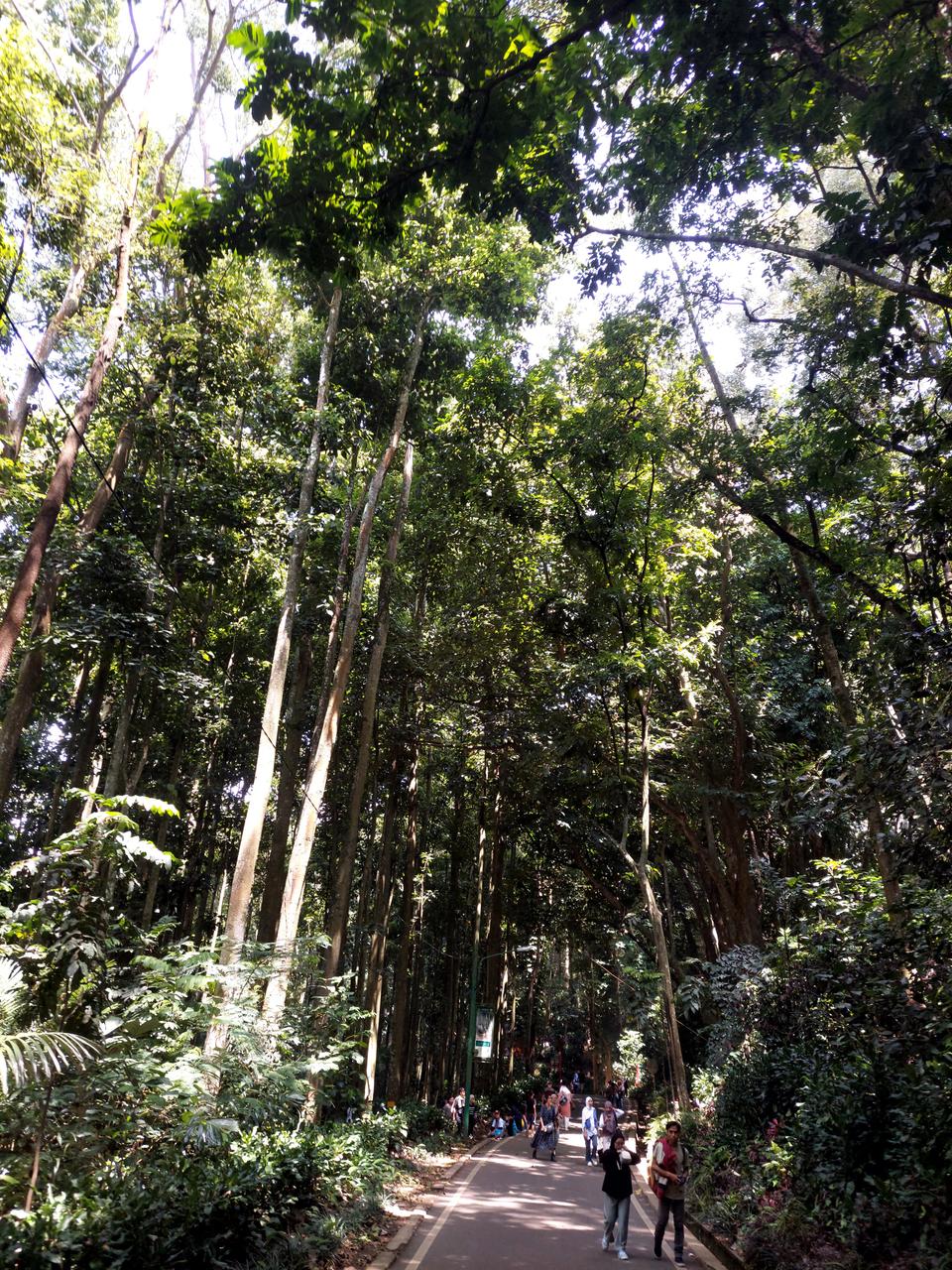 bandung8