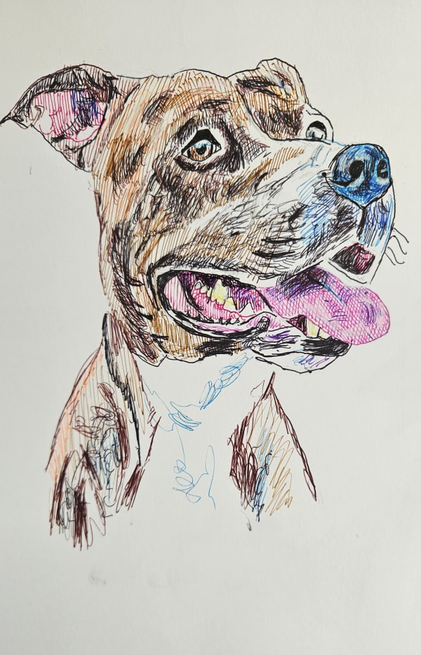 Dibujo 31