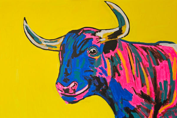 Toro