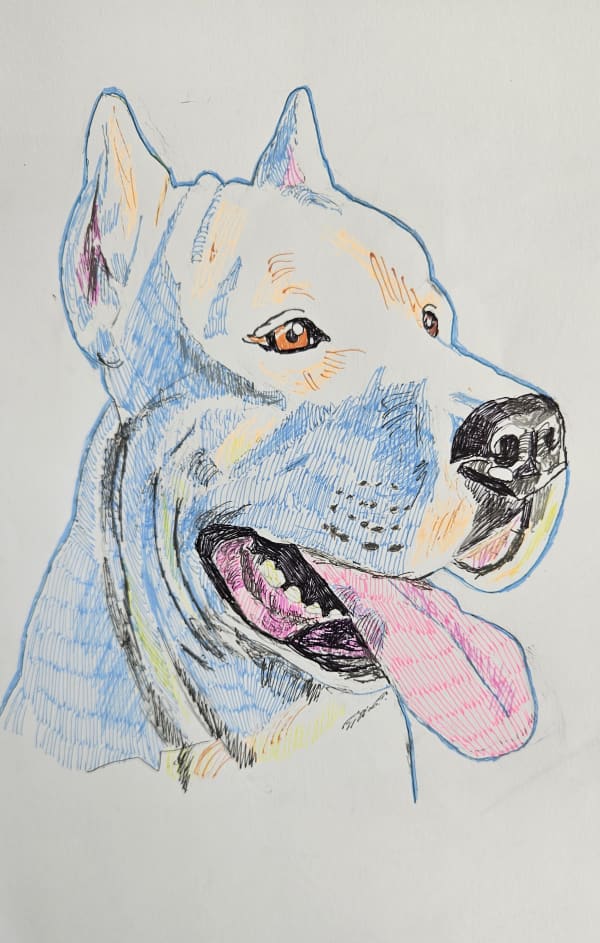 Dibujo 37