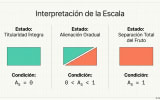 LA ANATOMÍA DE LA ALIENACIÓN (8/10)