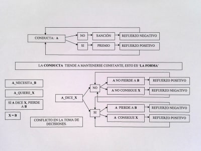 DIAGRAMA SOBRE LA CONDUCTA INDIVIDUAL Y COLECTIVA