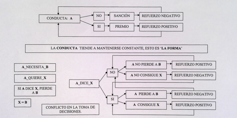DIAGRAMA SOBRE LA CONDUCTA INDIVIDUAL Y COLECTIVA