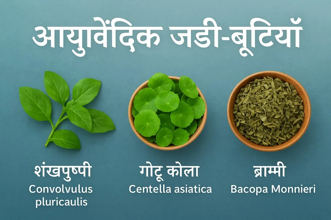 Ayurvedic Herbs