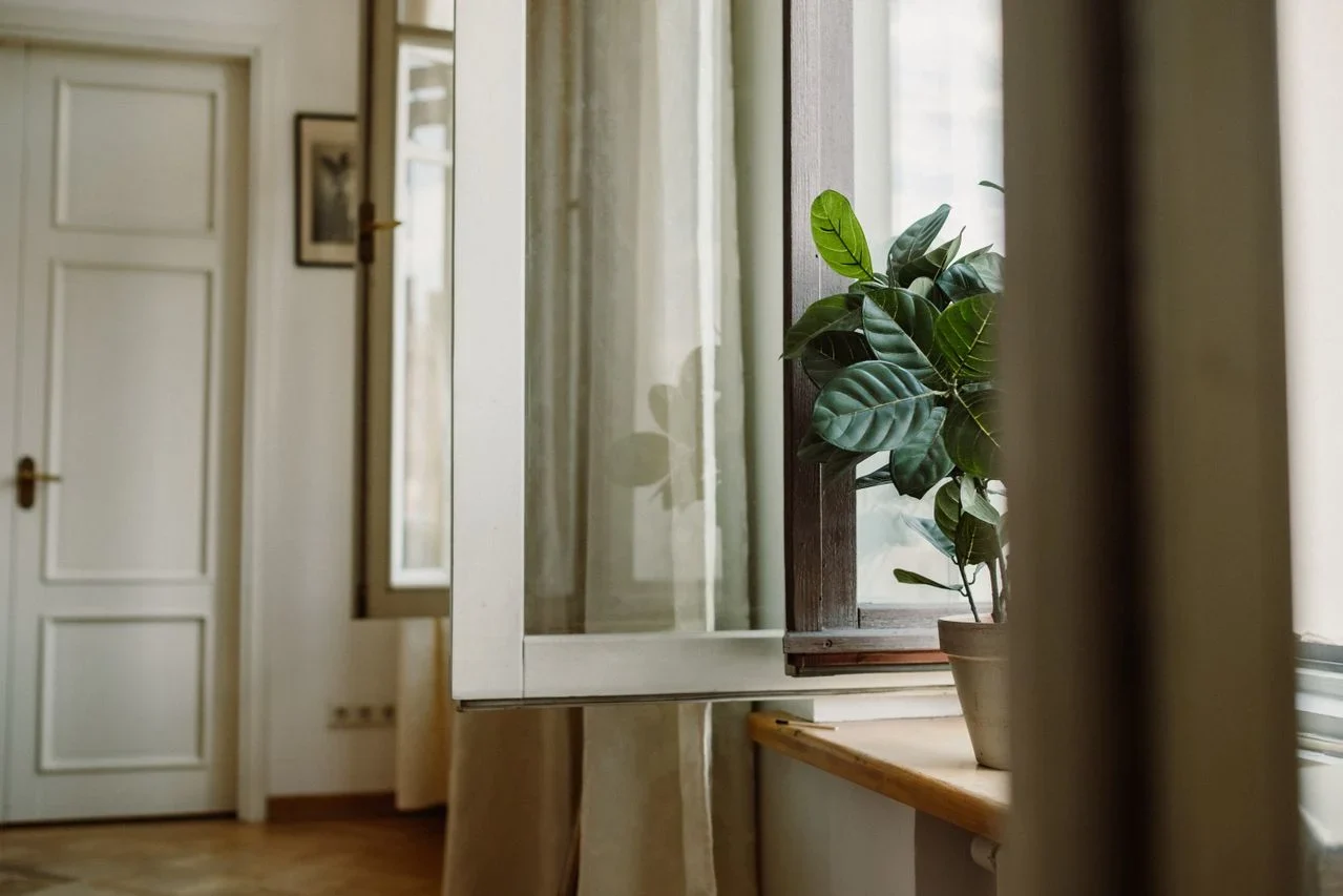 clean home with open window and indoor plants