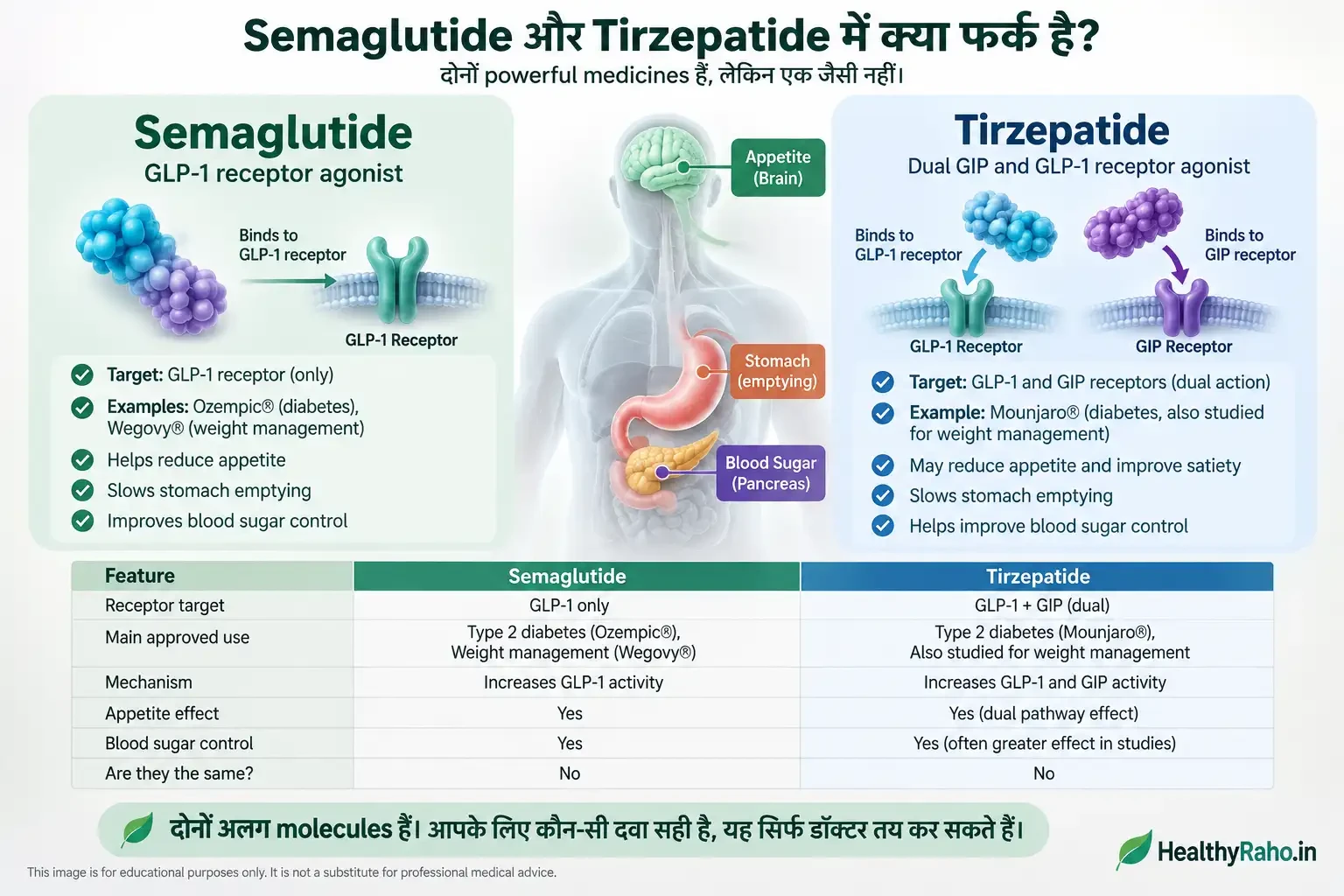Semaglutide और Tirzepatide में GLP-1 और GIP pathways का अंतर दिखाता मेडिकल इन्फोग्राफिक