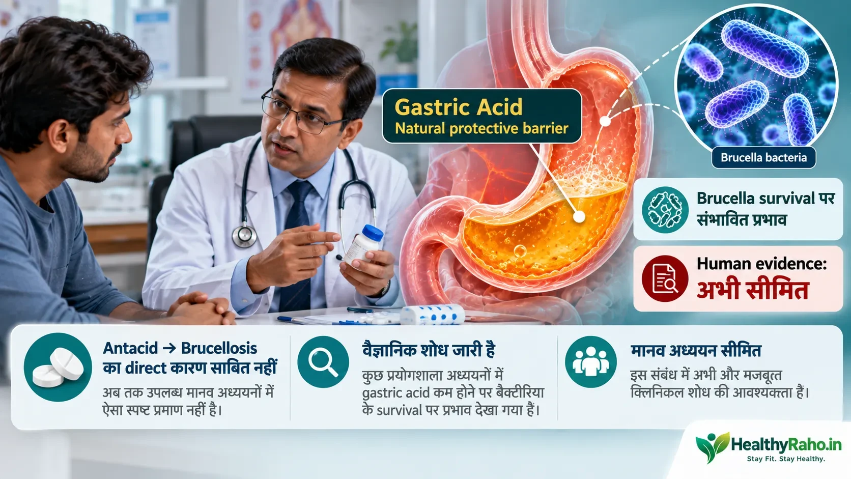 गैस्ट्रिक एसिड की सुरक्षात्मक भूमिका और Brucella संक्रमण पर सीमित मानव evidence दर्शाती मेडिकल इमेज