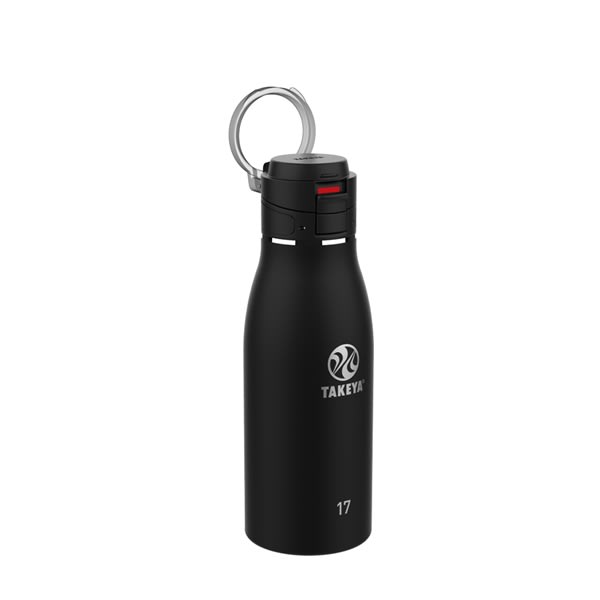17oz Traveler Insulated Leak Proof Mug With Fliplock™ Lid