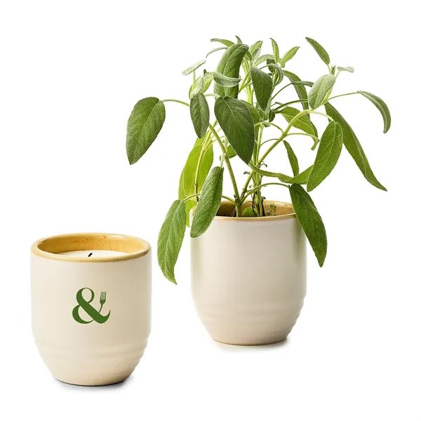Modern Sprout® Garden Vibes Candle/planter