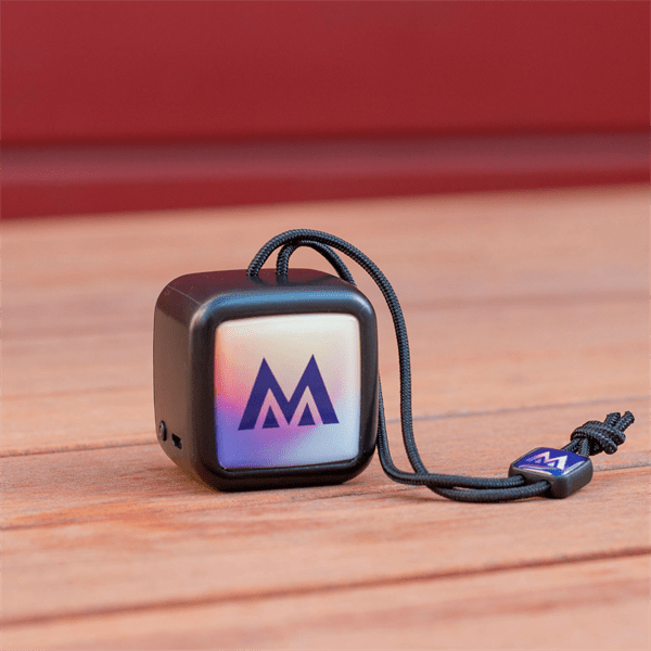 Chyrp Portable Mini Speaker