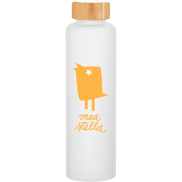 18 Oz H2go Rincon Single Wall Glass Water Bottle