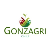 Exportadora Gonzagri S A