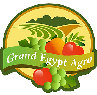 Grand Egypt Agro for Import & Export