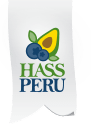 Hass Peru Sa