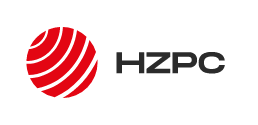 HZPC Deutschland GmbH