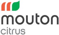 Mouton Distribution Usa