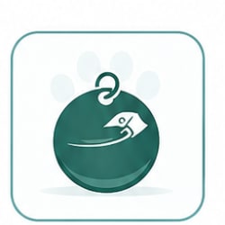 تگ شهرداری دبی