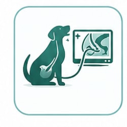 اکوکاردیوگرافی