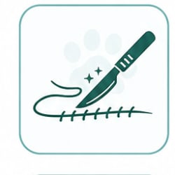 جراحی دامپزشکی