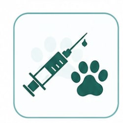 واکسیناسیون