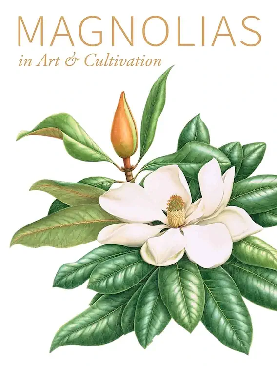 Publications