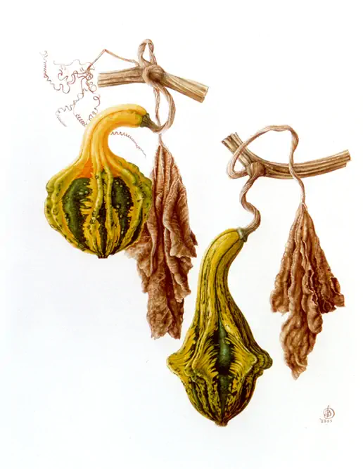 Barbara Oozeerally