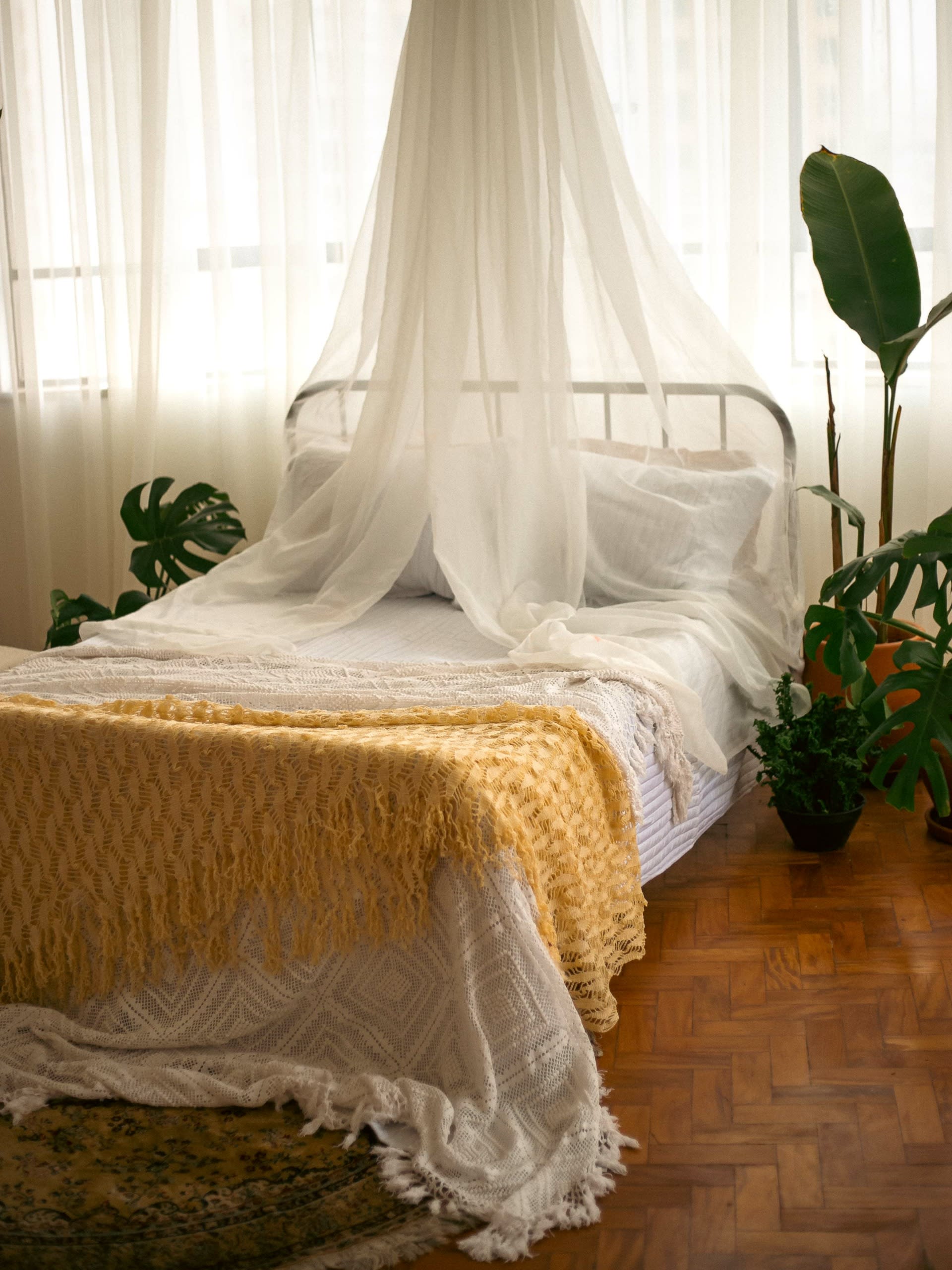 Image 6ea590920fa05c66b8ab307fa4691eec