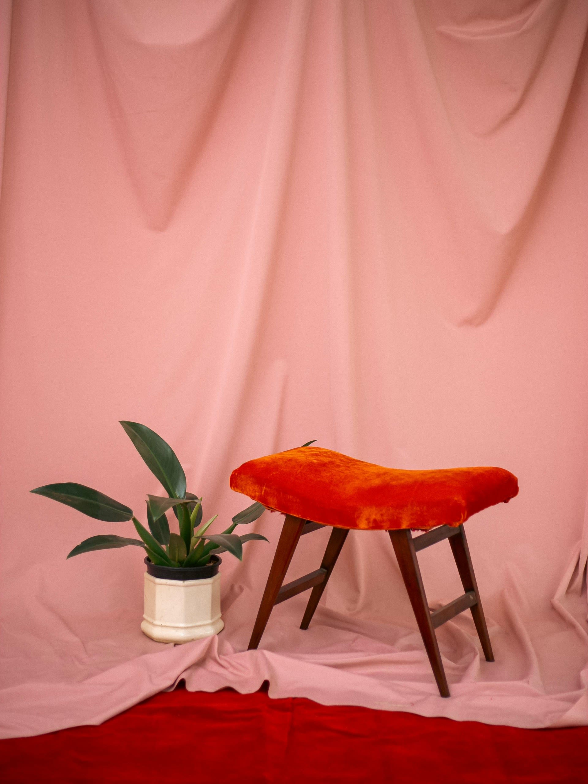 Image 1671d2d1394ad43ca88f48d9eb7bb5fd