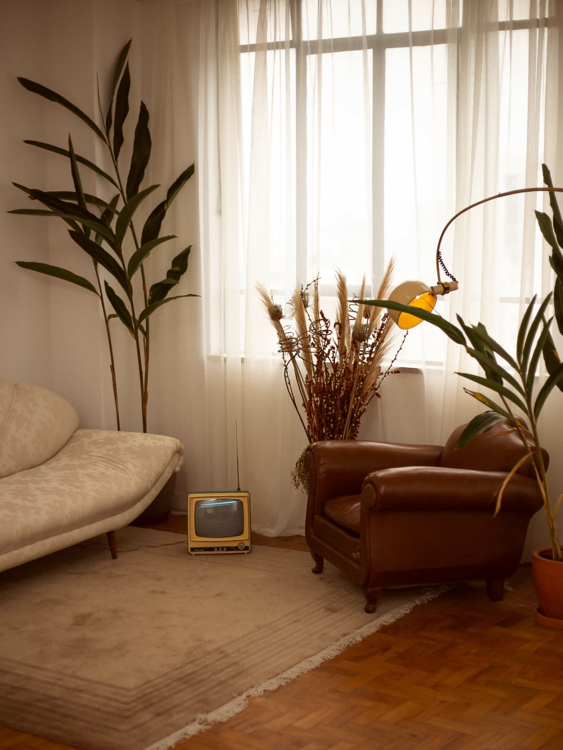 Image 1bf78365de1b7069fb89643470d88c05