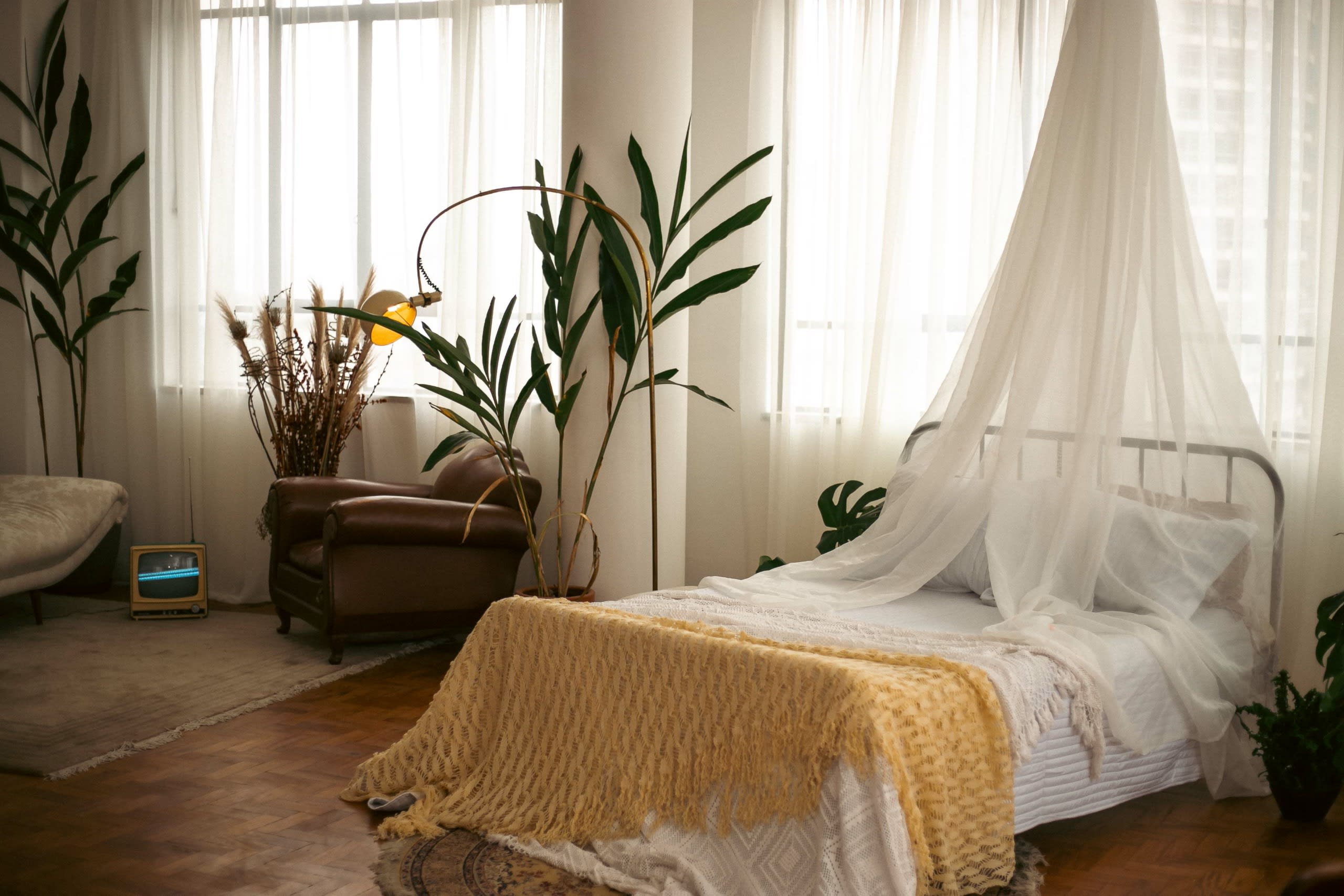 Image 504a4693f80806f2efd4821e4ad48099