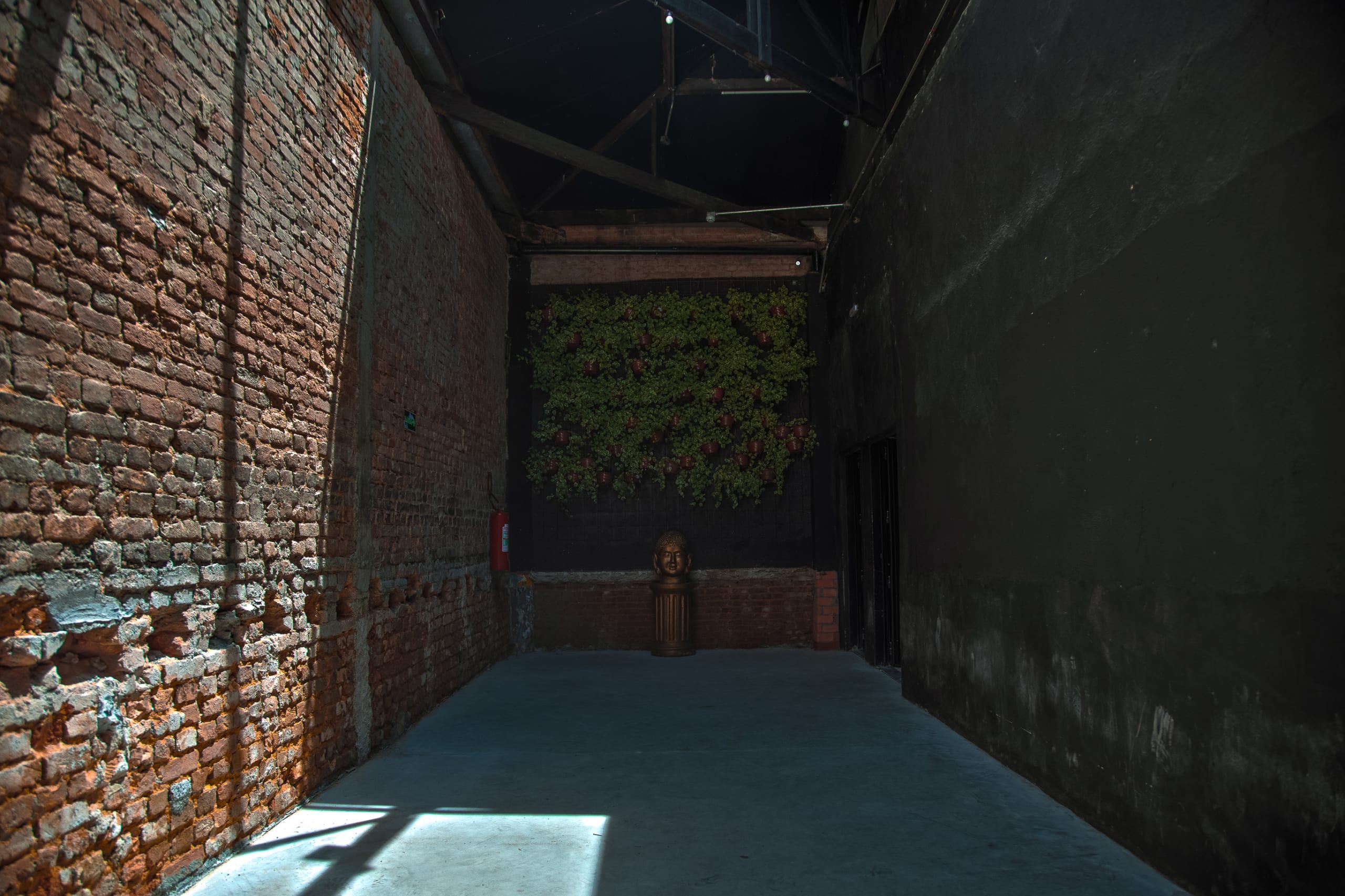 Image 8ce49999ab0a47238f51fb0cac332af5