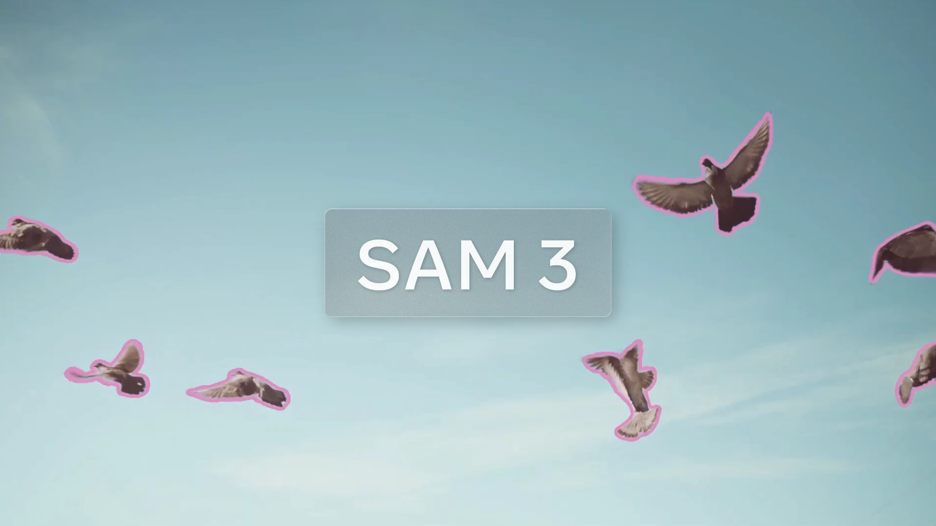 Visual representation of computer vision model segmenting multiple objects in a video frame