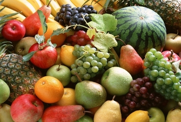 Horticulture