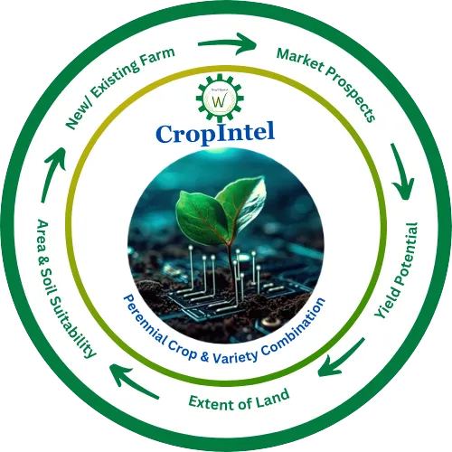 CropIntel Logo