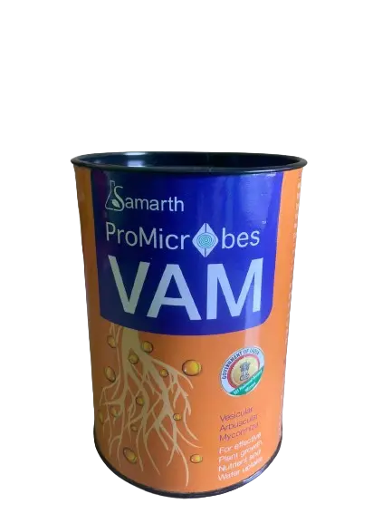  VAM 