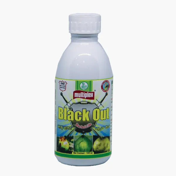  Black out 