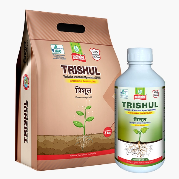  Trishul 