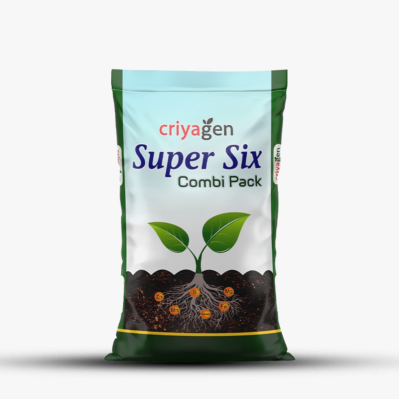  Super Six 