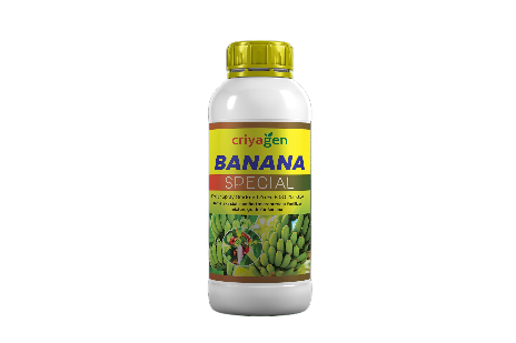  Banana crop special 